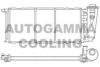AUTOGAMMA 100079 Radiator, engine cooling